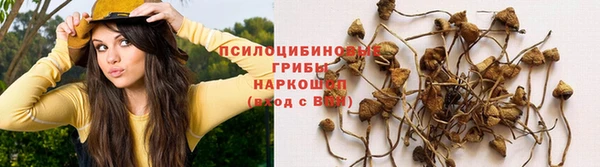 спайс Баксан
