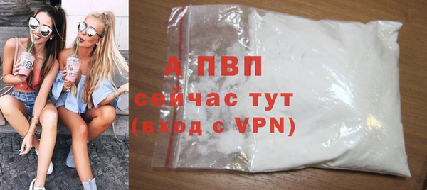спайс Баксан