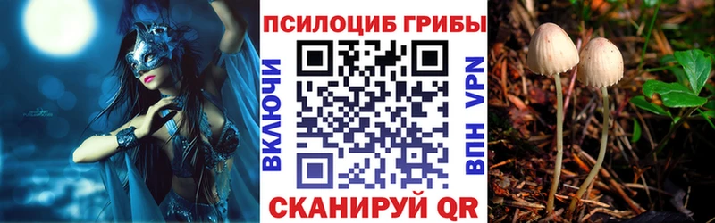 Псилоцибиновые грибы Magic Shrooms  shop телеграм  Белёв 